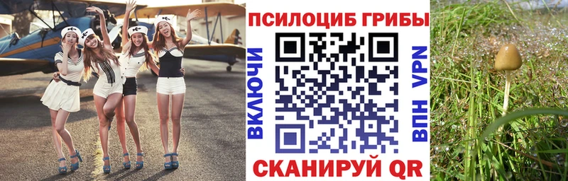 Галлюциногенные грибы мухоморы  гидра как войти  Иваново  наркошоп 